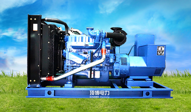 防城港殘疾人康復(fù)服務(wù)中心200kw玉柴發(fā)電機(jī)工程案例
